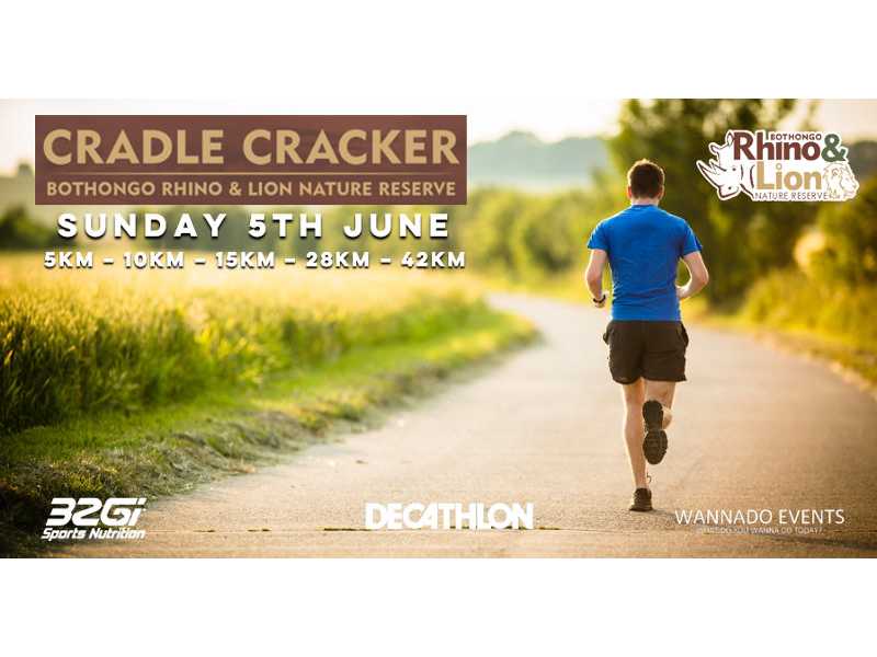 Cradle Cracker 'Road Run'