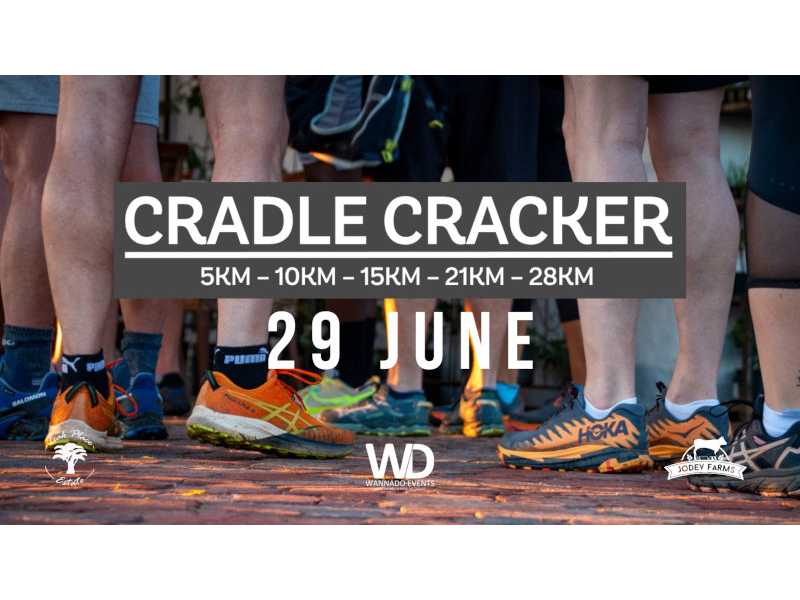 BROOKS CRADLE CRACKER