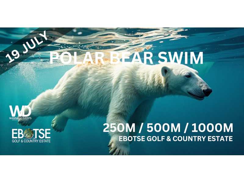 POLAR BEAR SWIM