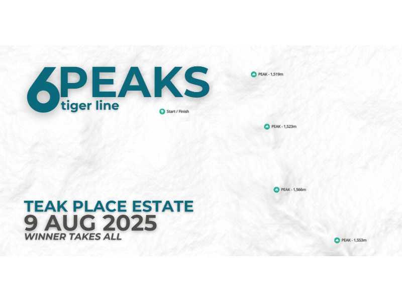 6 PEAKS TIGER LINE
